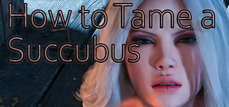 How to Tame a Succubus