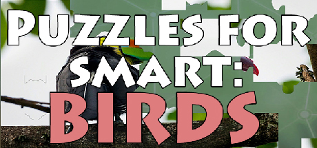 Puzzles for smart: Birds